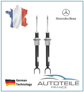 Jeu d'amortisseurs avant à gaz MERCEDES Classe E (W211,S211), CLS (C219)